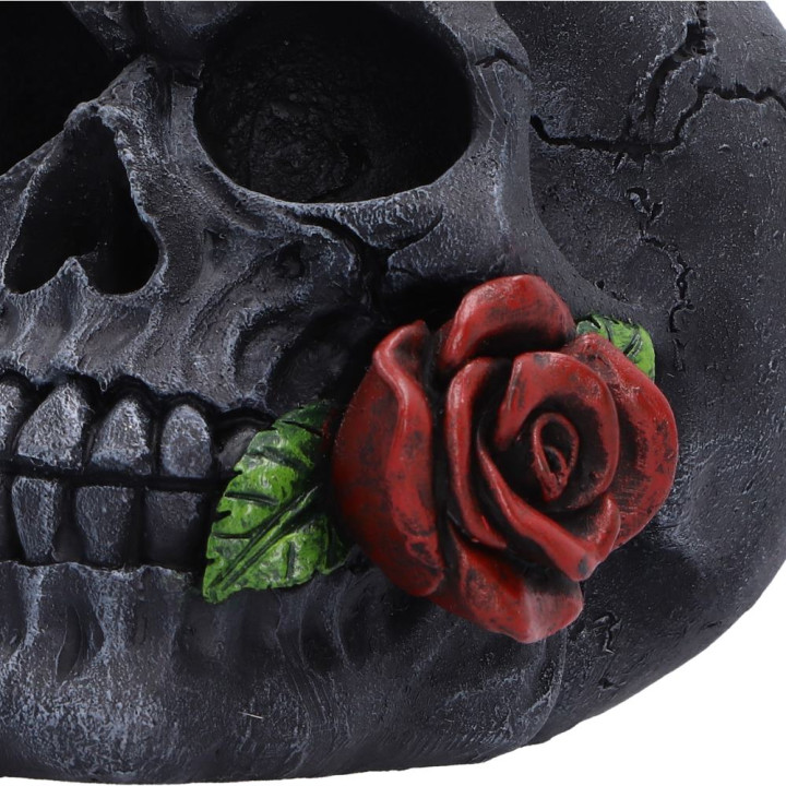 The Last Rose (Pack of 2)