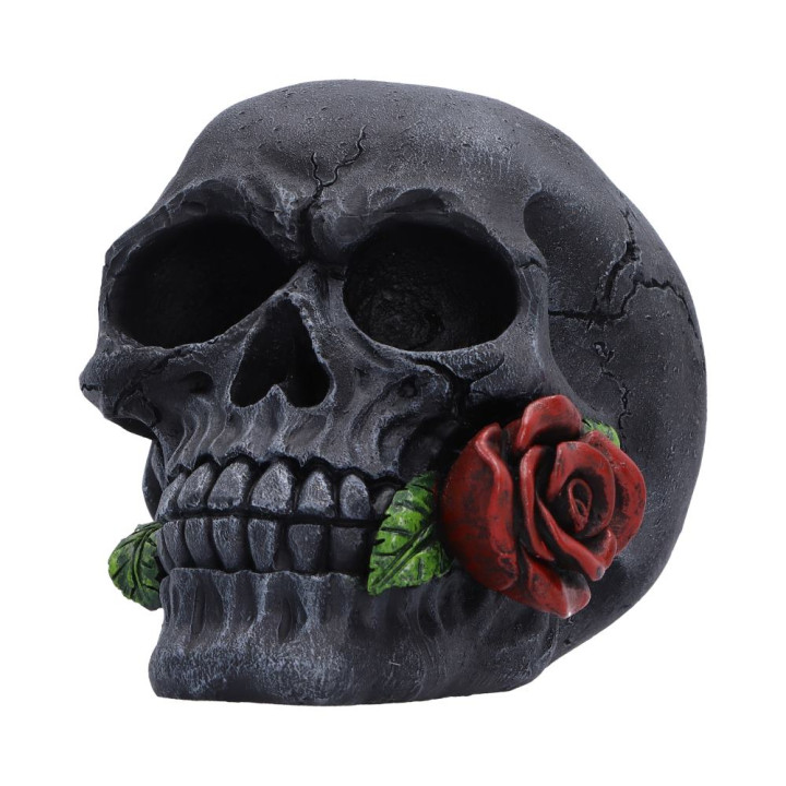 The Last Rose (Pack of 2)