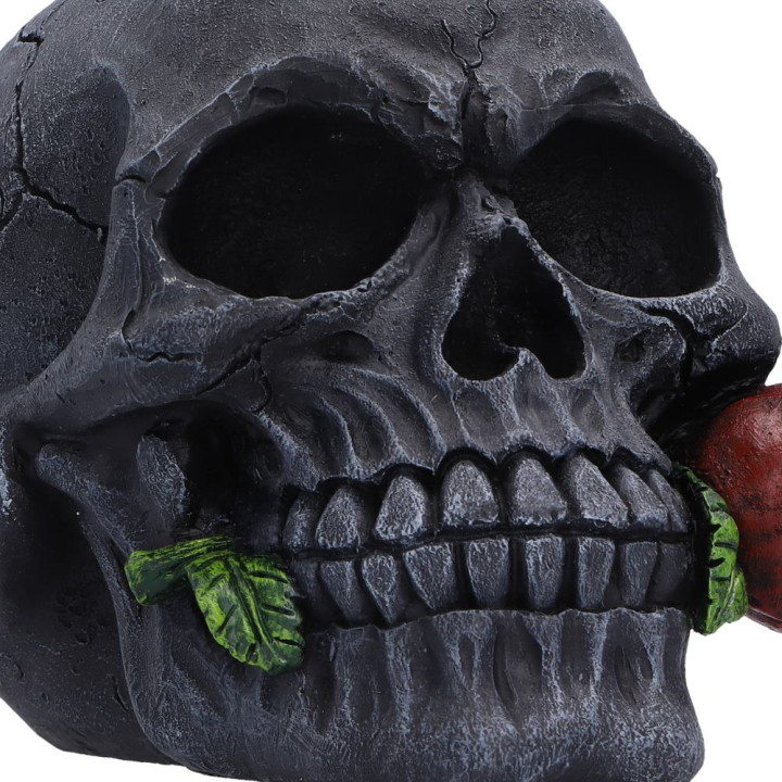 The Last Rose (Pack of 2)