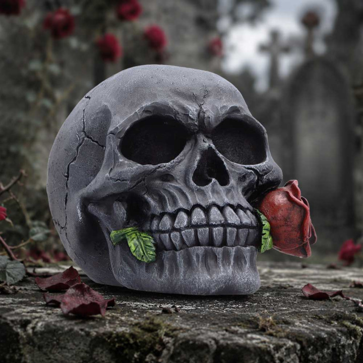 The Last Rose (Pack of 2)