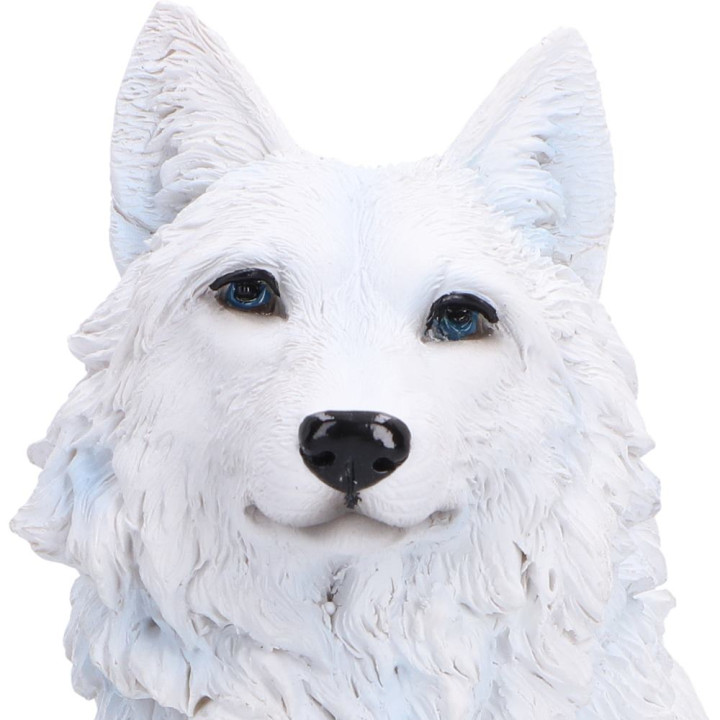 Arctic Bond 16.7cm