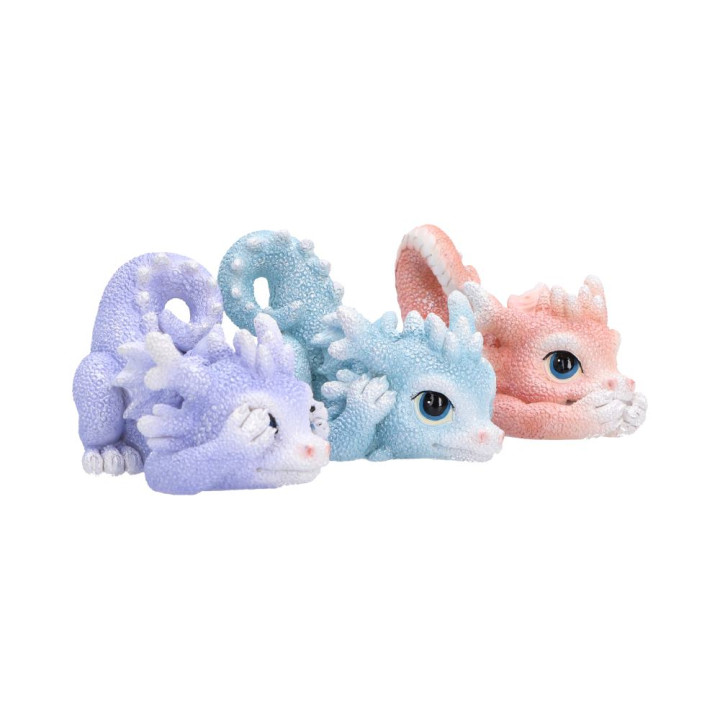 Three Wise Coralscale Dra
