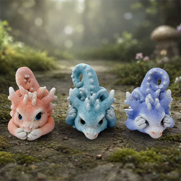 Three Wise Coralscale Dra