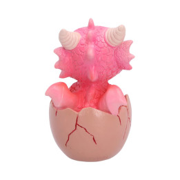 Shellbound (Pink)  8.6cm