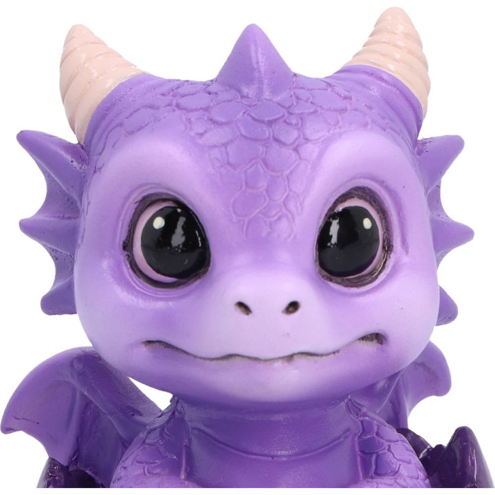 Shellbound (Purple) 8.6cm