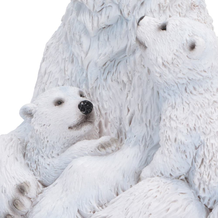 Polar Protection 12.7cm