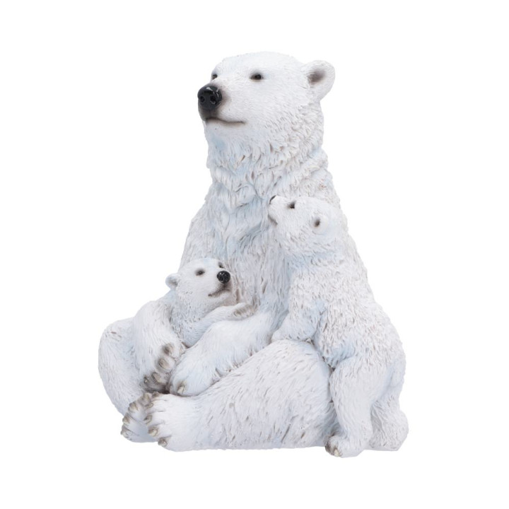 Polar Protection 12.7cm