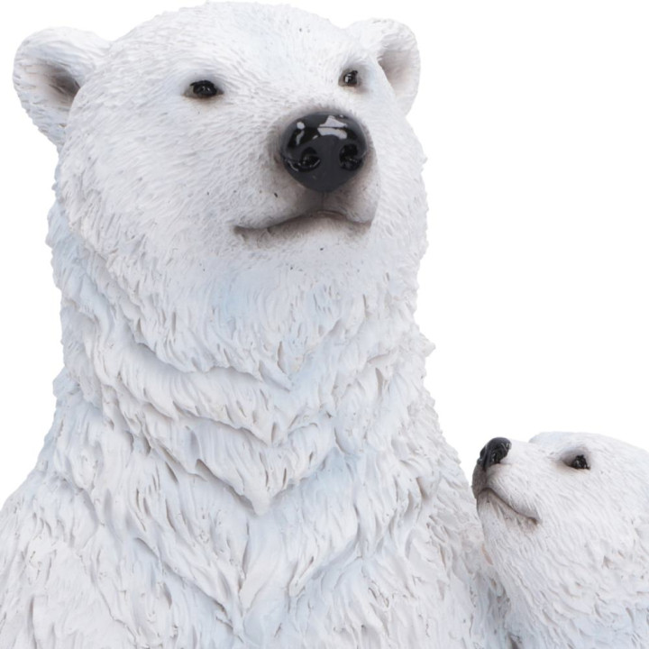 Polar Protection 12.7cm