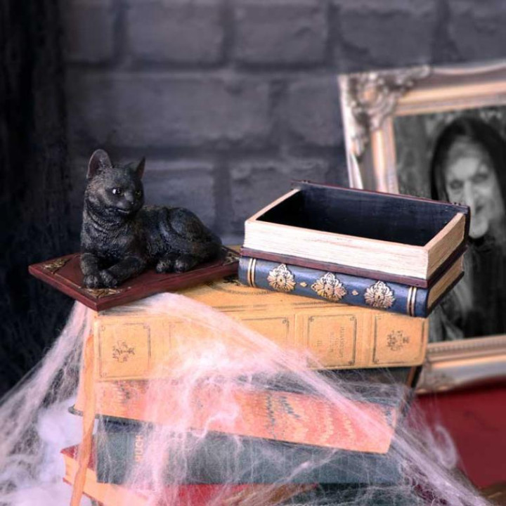 Salems Spells 11.7cm