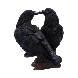 Midnight Kiss 13.9cm