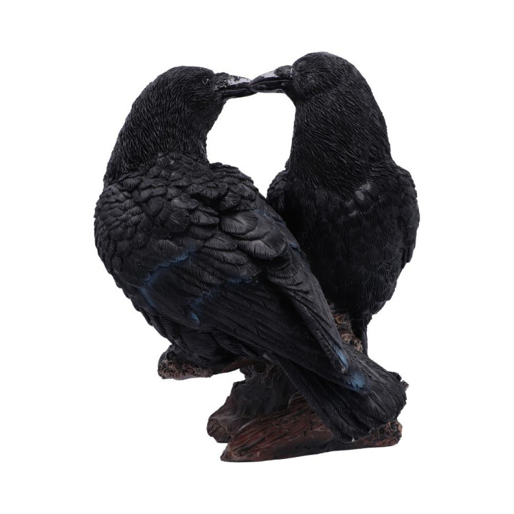 Midnight Kiss 13.9cm