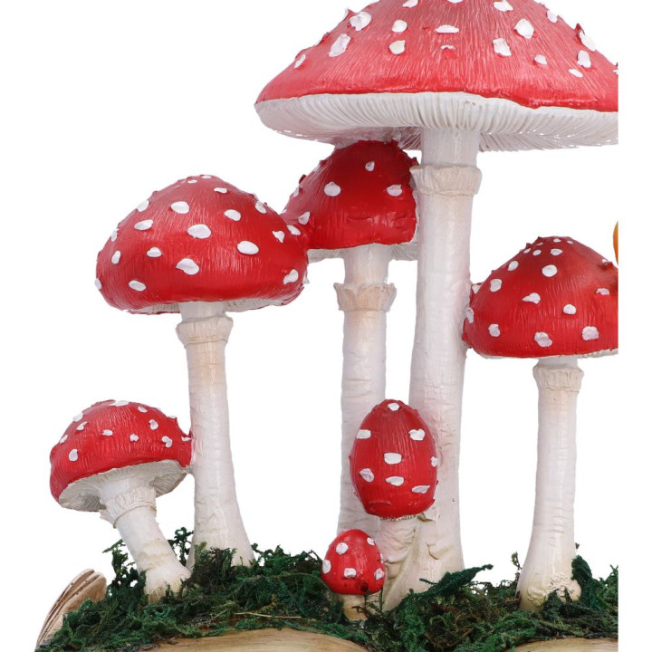 Toadstool Tales 18.6cm