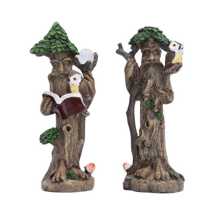 Woodland Wisdom (Set of 2