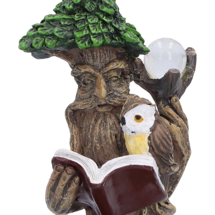 Woodland Wisdom (Set of 2
