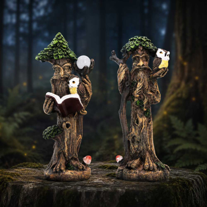 Woodland Wisdom (Set of 2