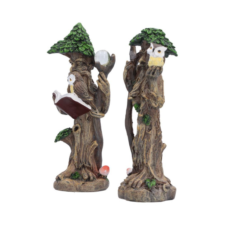 Woodland Wisdom (Set of 2