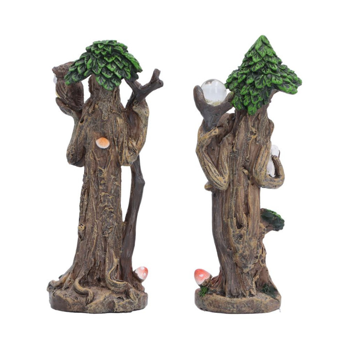 Woodland Wisdom (Set of 2