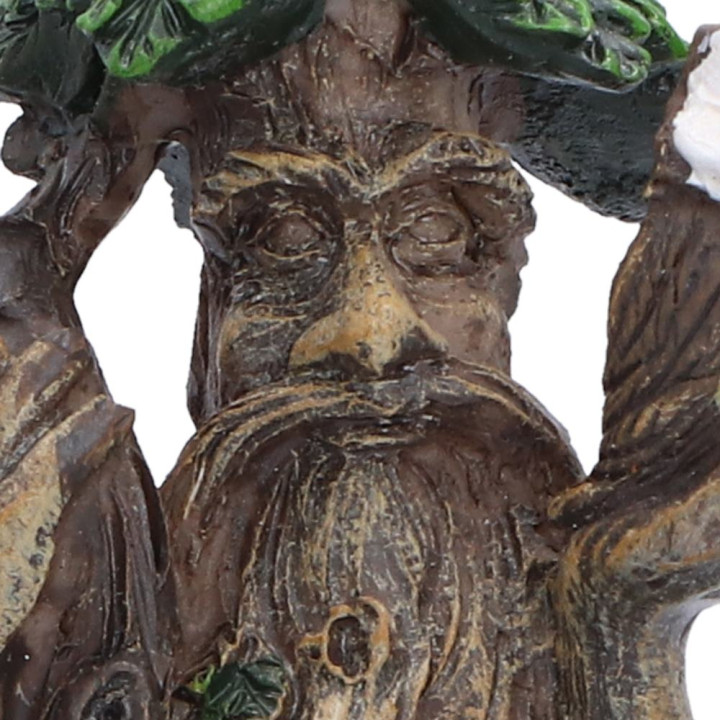 Woodland Wisdom (Set of 2