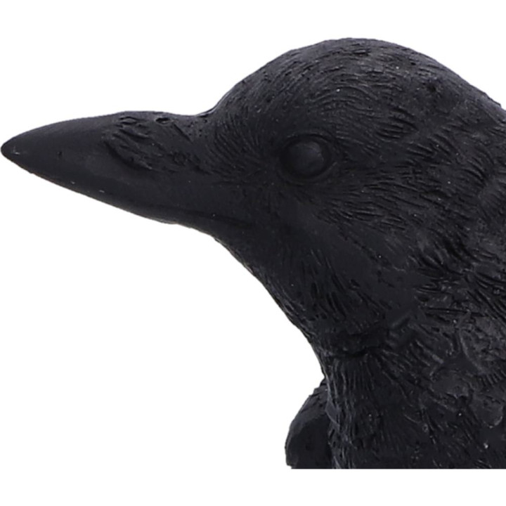 Watchful Pair (Set of 2)