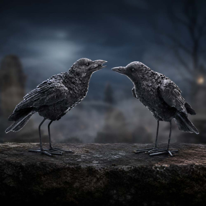 Watchful Pair (Set of 2)