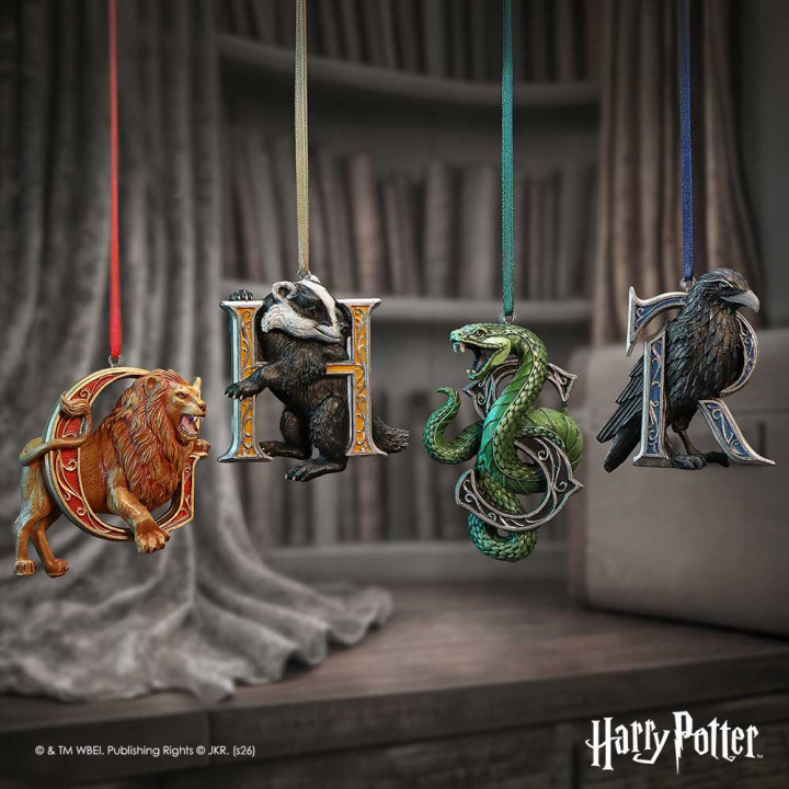 Harry Potter Slytherin Ma