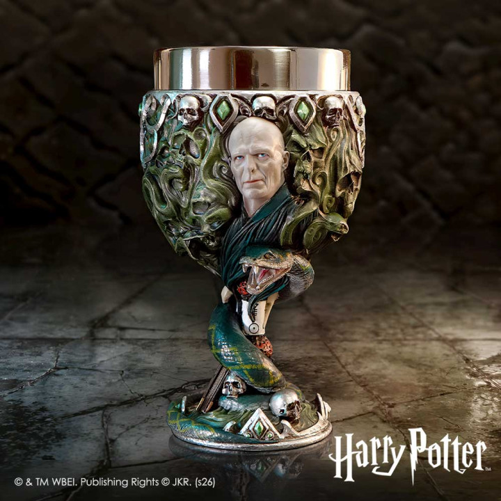 Harry Potter Voldemort Ch