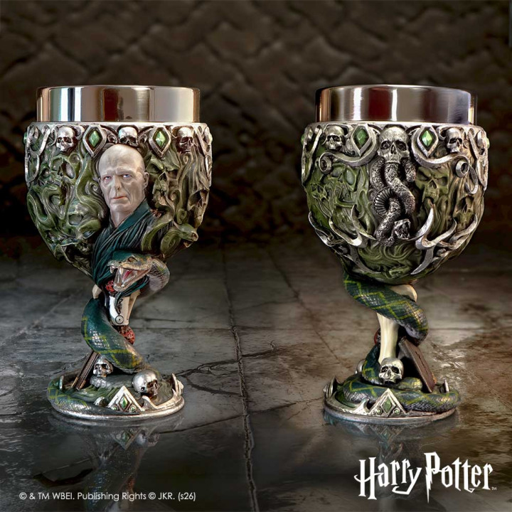 Harry Potter Voldemort Ch