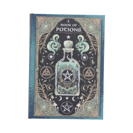 Book of Potions Journal 1