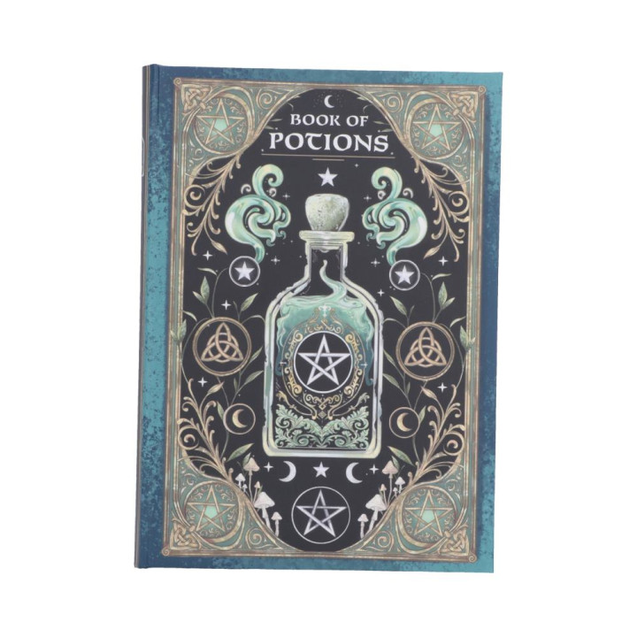 Book of Potions Journal 1