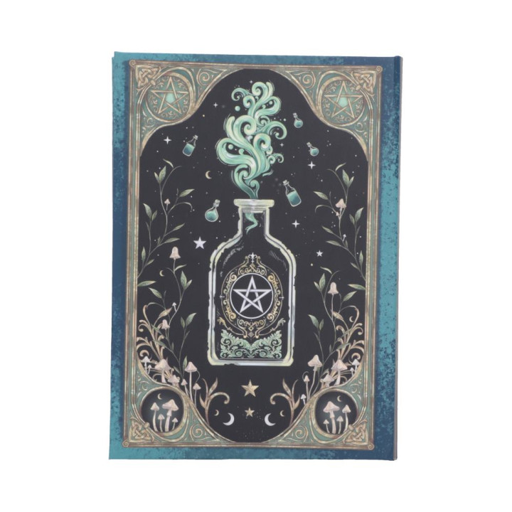Book of Potions Journal 1