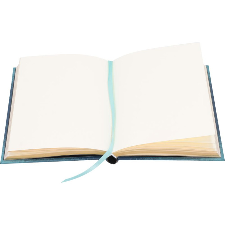 Book of Potions Journal 1