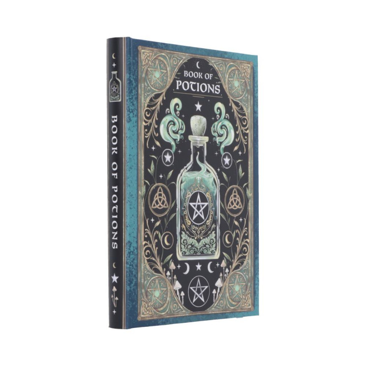 Book of Potions Journal 1