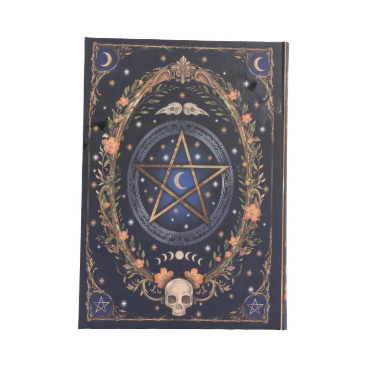 Book of Shadows Journal 1
