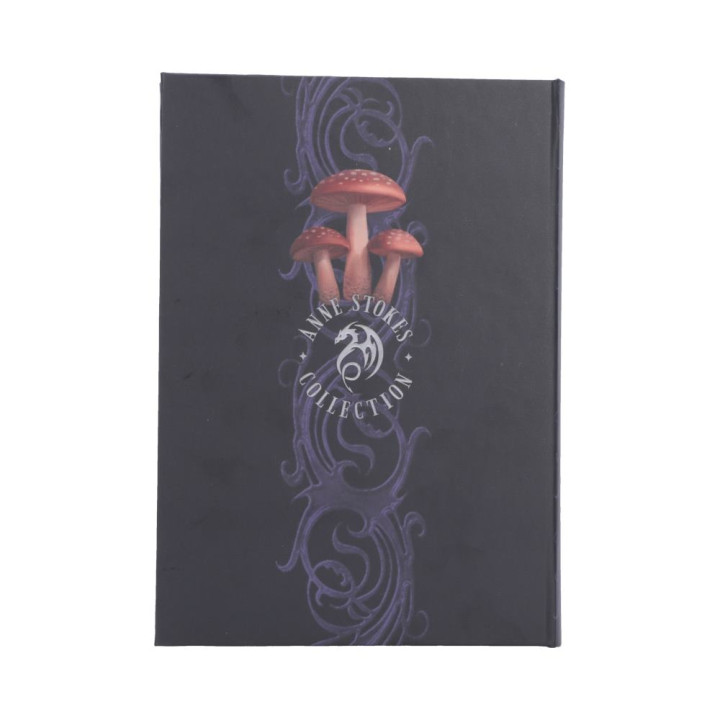 Mushroom Dragon Journal (