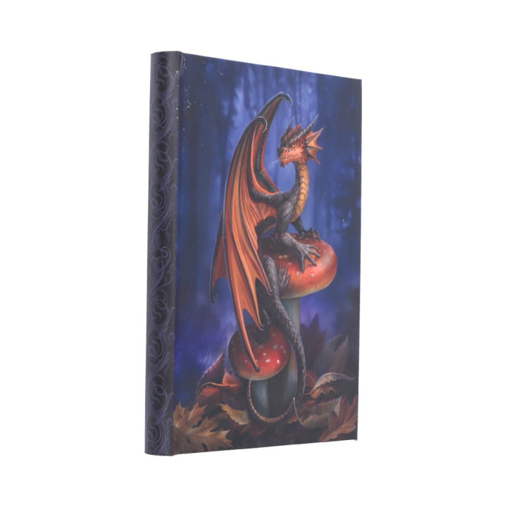 Mushroom Dragon Journal (