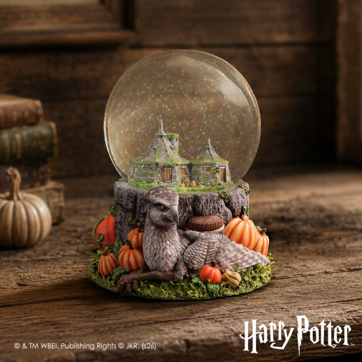 Harry Potter Hagrids Hut