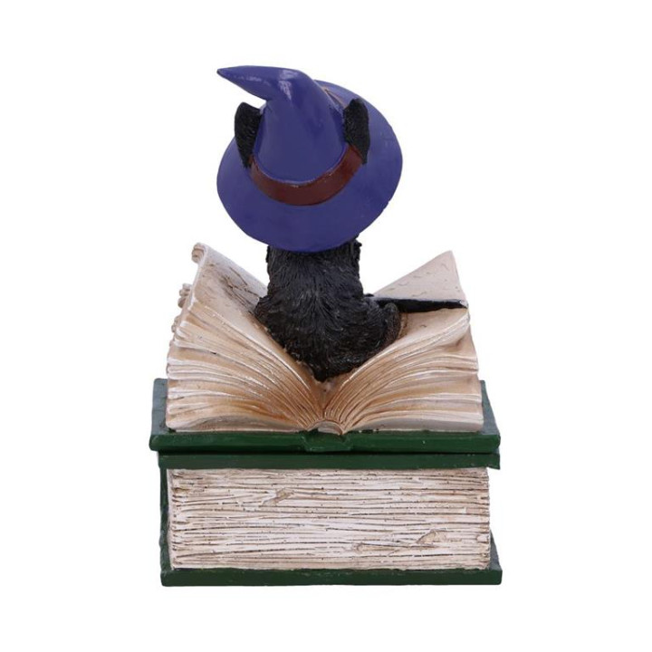 Binx 11cm