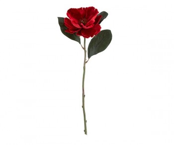 MAGNOLIA VELLUTO ROSSO...