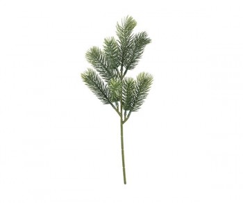 RAMO PINO (340) Minimo 24