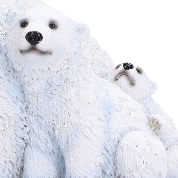 Polar Family 11.2cm