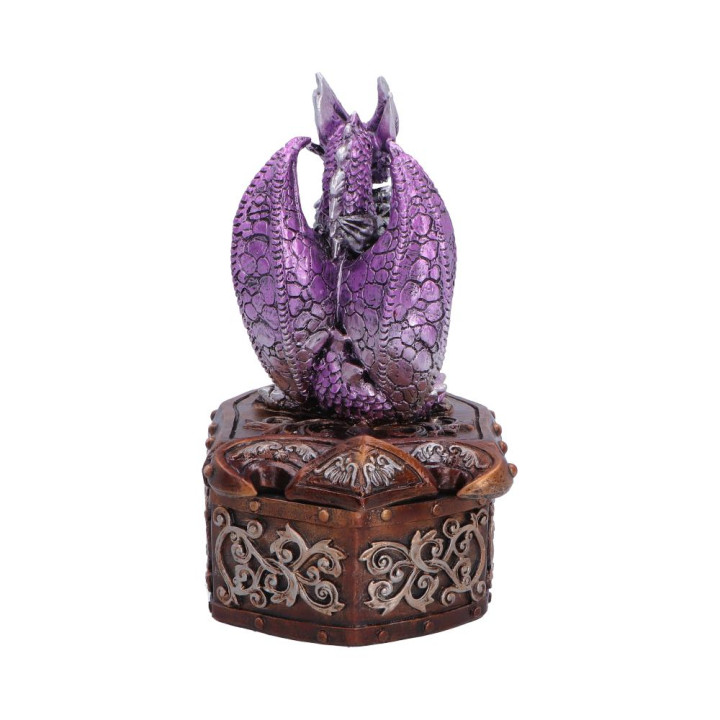Hoard Protector Box (Purp