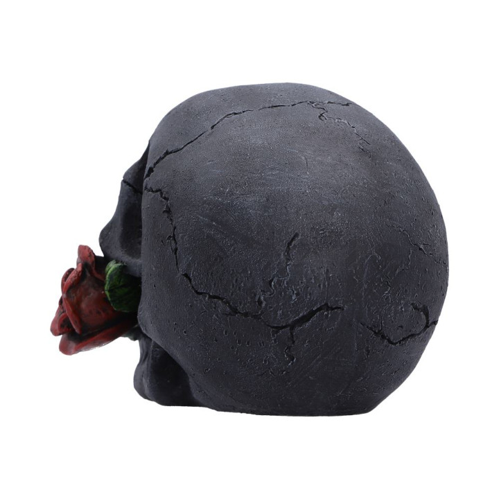 The Last Rose (Pack of 2)
