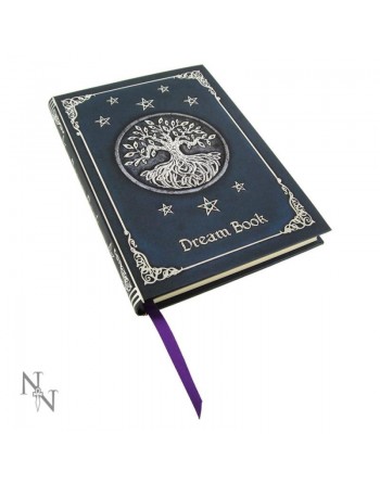 Embossed Dream Book 17cm