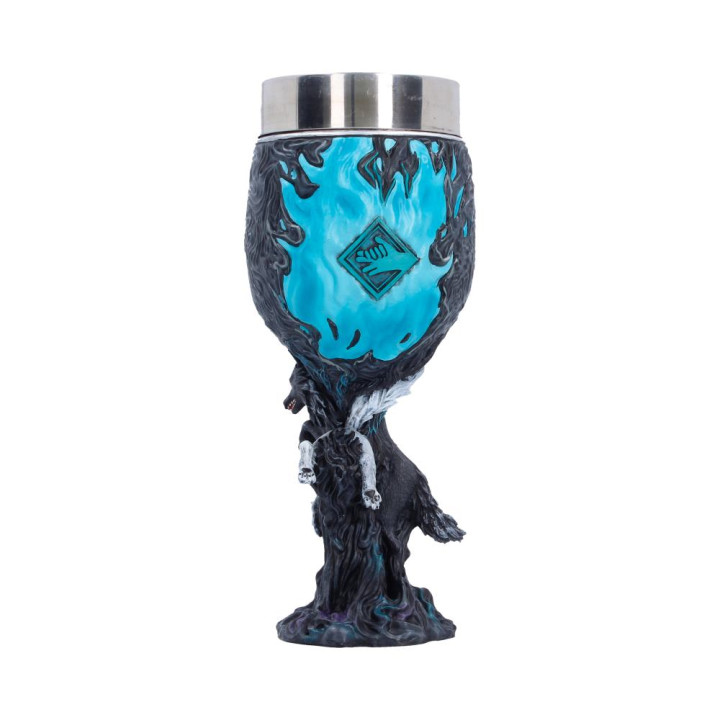 Jujutsu Kaisen Megumi Fus