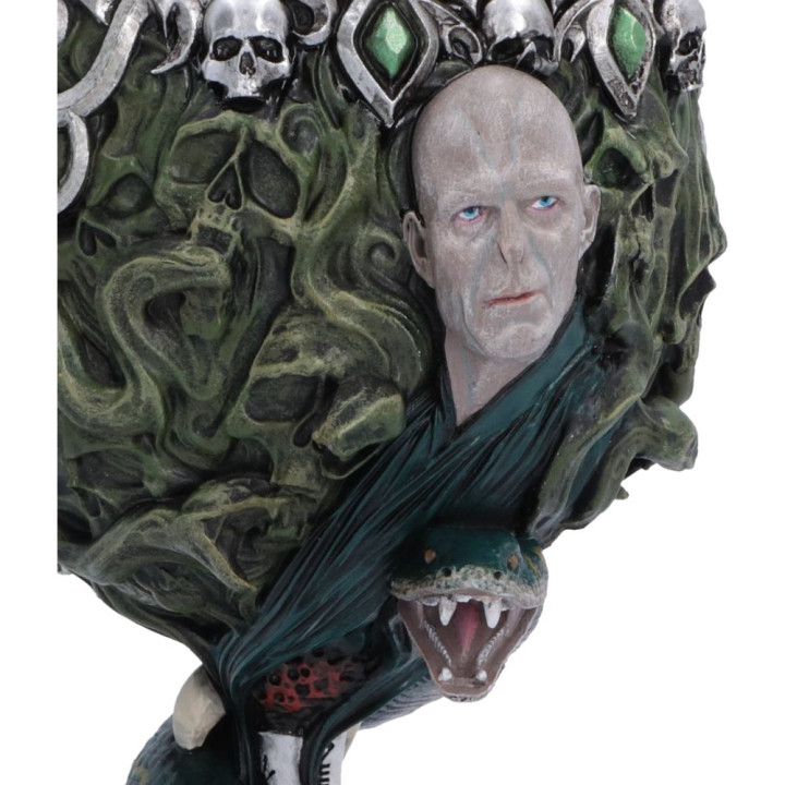 Harry Potter Voldemort Ch
