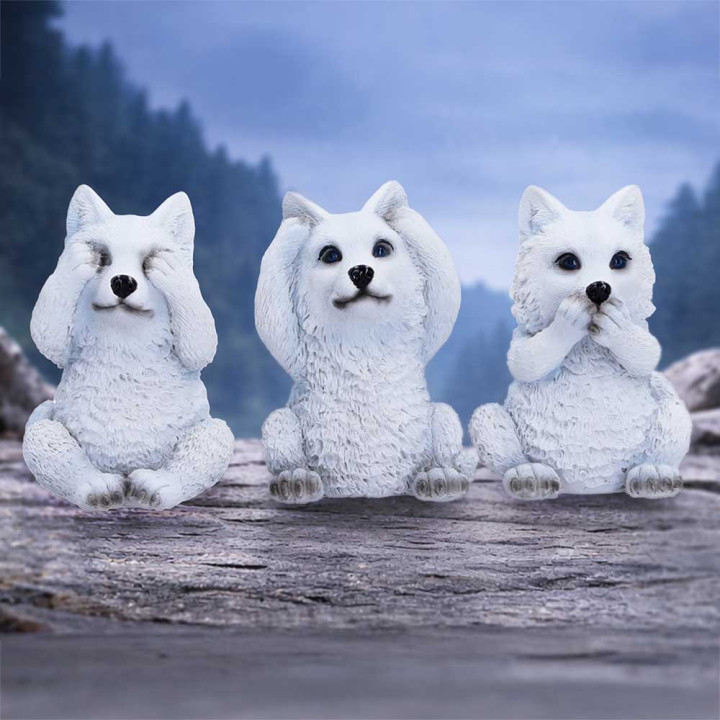 Three Wise Wolf Pups