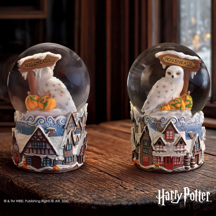 Harry Potter Hogsmeade Vi