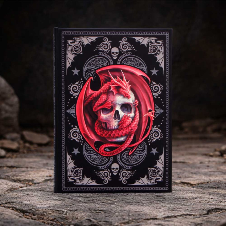 Skull Embrace Journal (AS