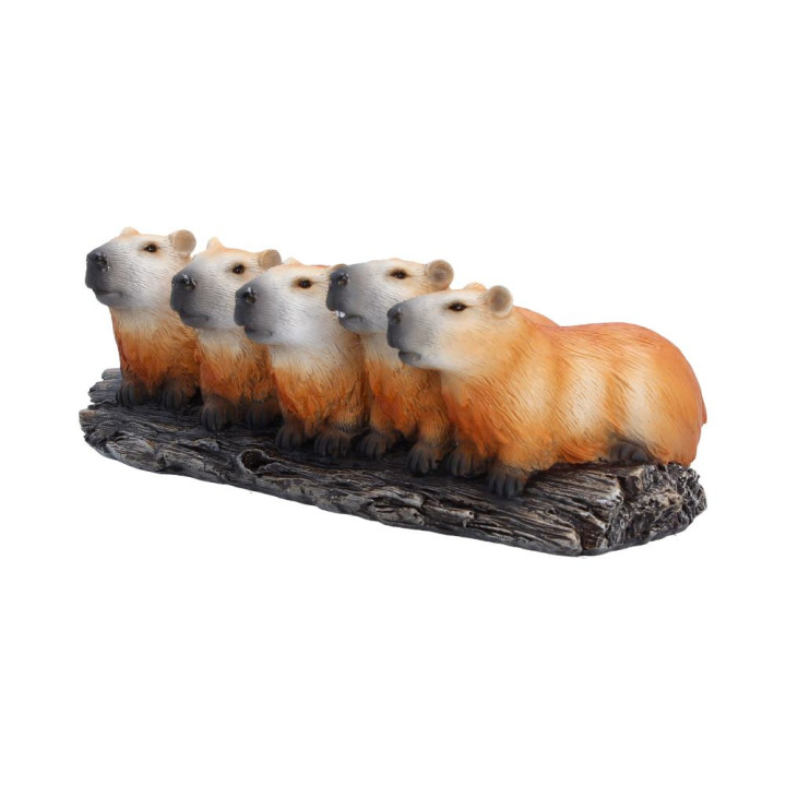 Capybara Herd