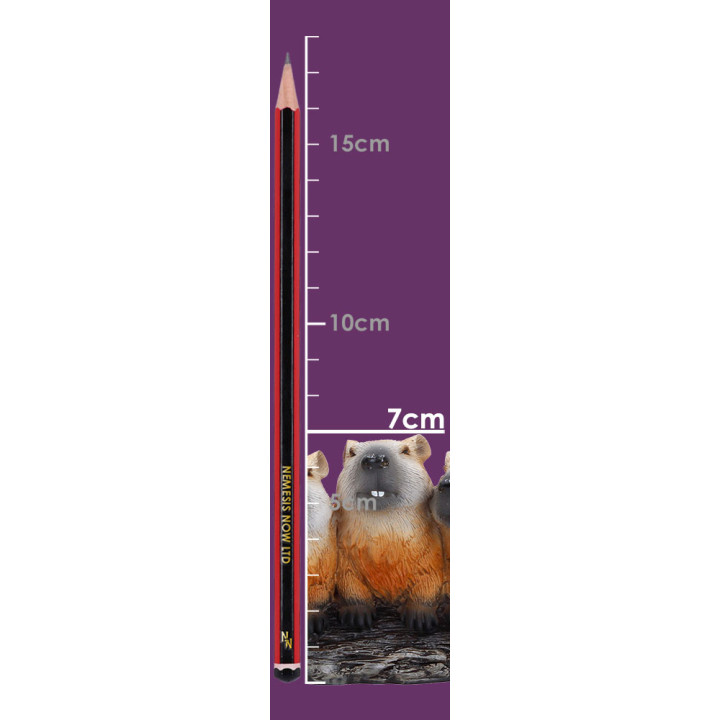 Capybara Herd